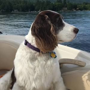 Meet your Posher, Cassie